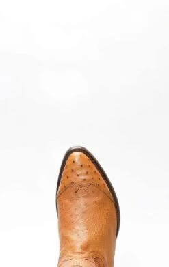 Stivali Texani Cuadra In Pancia Di Struzzo Miele Con Puntale In Spalla -Tony Lama Italia 2024 0 0a799fdb 1500