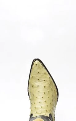 Stivali Texani Cuadra In Pelle Di Spalla Di Struzzo Verde Pistacchio -Tony Lama Italia 2024 0 184796e8 1500