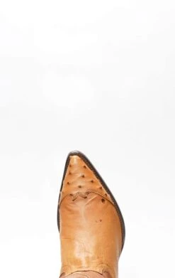 Stivali Texani Cuadra In Pancia Di Struzzo Miele Con Punta In Spalla -Tony Lama Italia 2024 0 1b978f01 1500