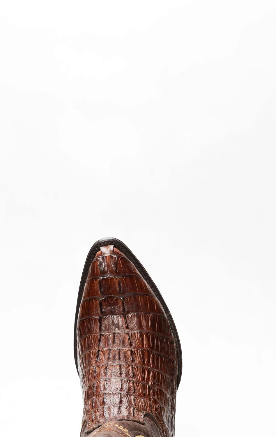 Stivali Cuadra In Pelle Di Coccodrillo Testa Di Moro Con Punta A J 8 Stivali Cuadra In Pelle Di Coccodrillo Testa Di Moro Con Punta A J - immagine 7