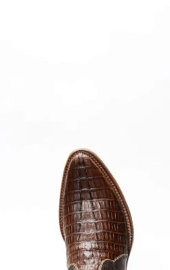 Stivali Cuadra In Pelle Di Coccodrillo Testa Di Moro Con Cerniera -Tony Lama Italia 2024 0 40e1b3f1 1500