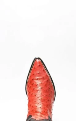 Stivali Texani Cuadra In Pelle Di Spalla Di Struzzo Rosso -Tony Lama Italia 2024 0 5457796d 1500