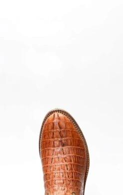 Stivali Texani Cuadra In Pelle Di Coccodrillo Color Miele 15 Stivali Texani Cuadra In Pelle Di Coccodrillo Color Miele -Tony Lama Italia 2024 0 6c195747 1500