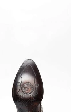 Stivali Cuadra In Pelle Di Coccodrillo Testa Di Moro Con Punta A J 13 Stivali Cuadra In Pelle Di Coccodrillo Testa Di Moro Con Punta A J -Tony Lama Italia 2024 0 8eed0ebf 1500