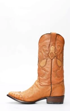 Stivali Texani Cuadra In Pancia Di Struzzo Miele Con Puntale In Spalla -Tony Lama Italia 2024 0 99aa09eb 1500