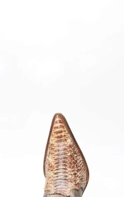 Stivali Texani Frida By Cuadra In Pelle Di Pitone Marrone Invecchiato -Tony Lama Italia 2024 0 a28c31c8 1500