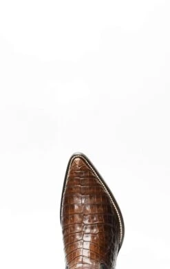 Stivali Texani Cuadra In Pelle Di Pancia Di Caimano -Tony Lama Italia 2024 0 a329b6a4 1500