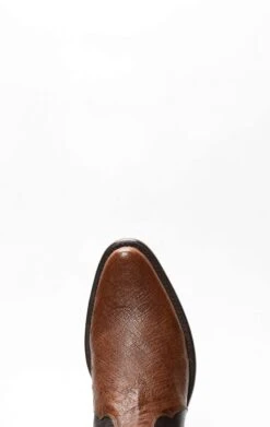 Stivali Cuadra Marrone Di Pancia Di Struzzo Con Puntale In Spalla -Tony Lama Italia 2024 0 d84e31f7 1500