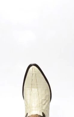 Stivali Texani Cuadra Uomo In Coccodrillo Chiaro -Tony Lama Italia 2024 0 d88ff337 1500