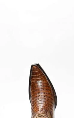 Stivali Texani Cuadra In Coccodrillo -Tony Lama Italia 2024 0 e6fa1d9e 1500