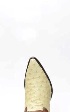 Stivali Texani Cuadra In Pelle Di Spalla Di Struzzo -Tony Lama Italia 2024 0 eace8bcf 1500